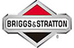 Briggs and Stratton